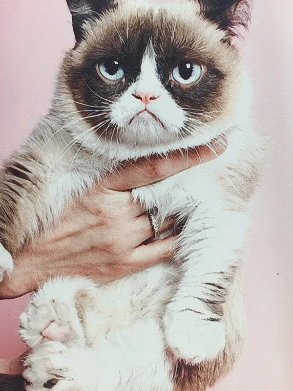 3D sweatshirts women's Grumpy Cat