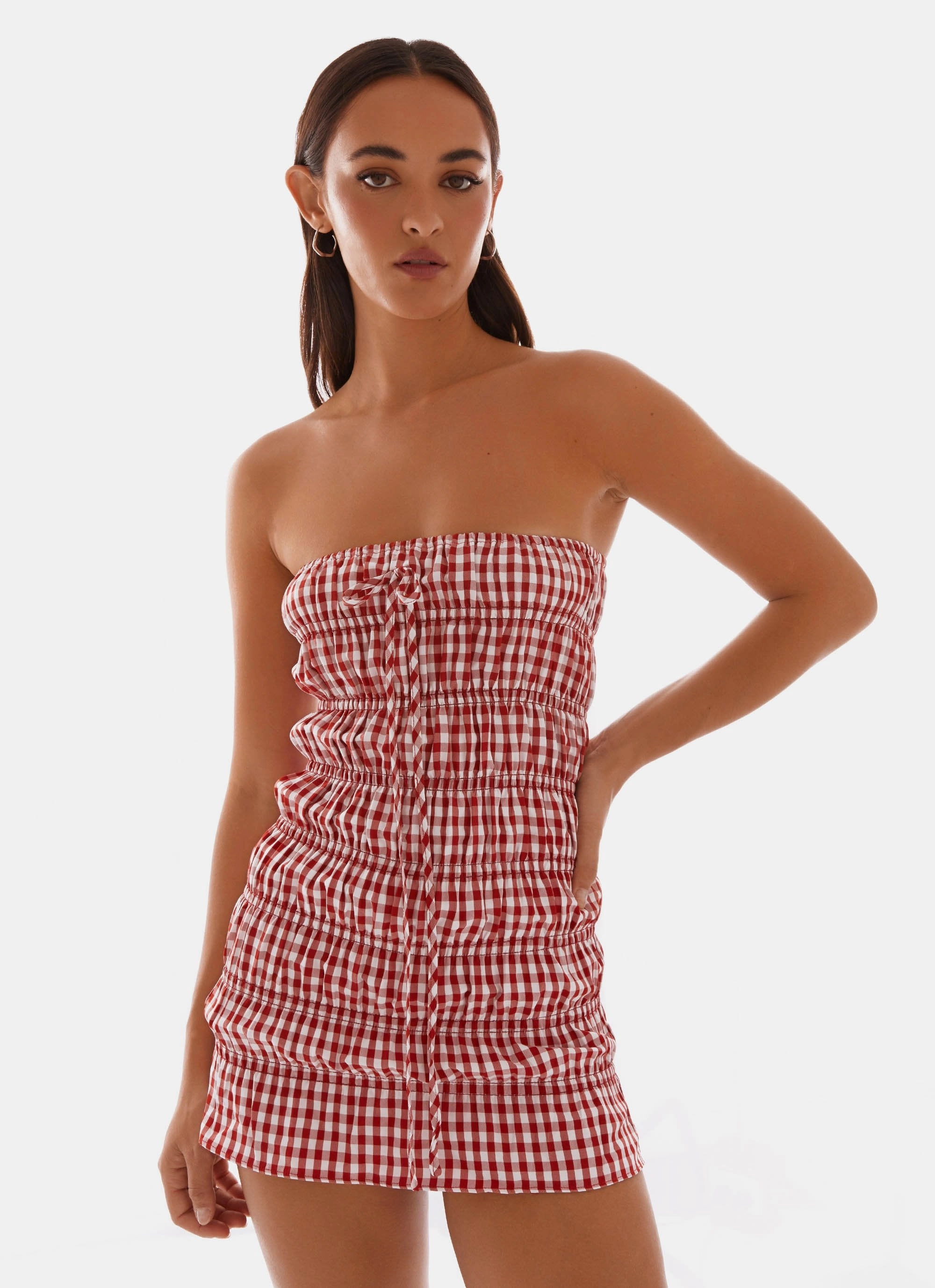 Vacation Vibe Garden Scene Adele Mini Dress - Red Gingham