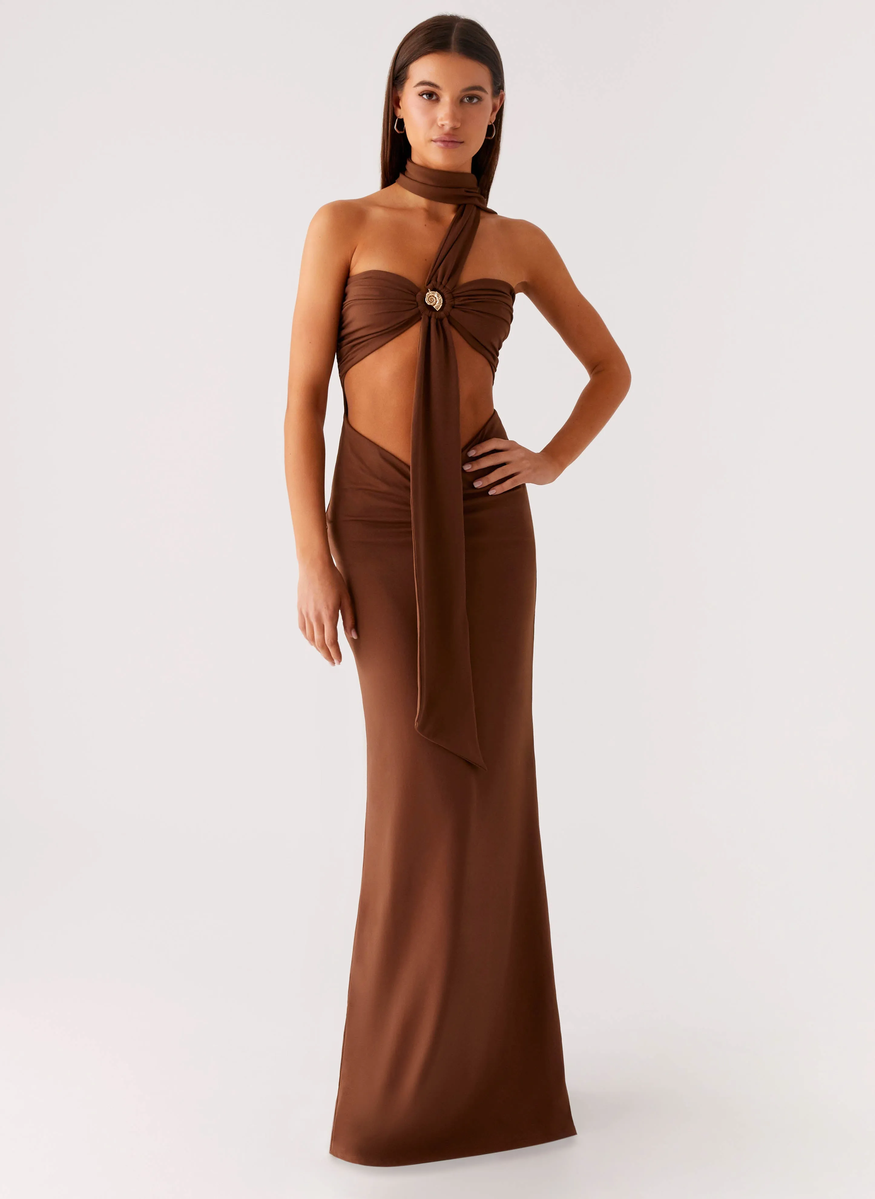 Spring Trend Wrinkle Free Care Olive Bloom Maxi Dress - Chocolate