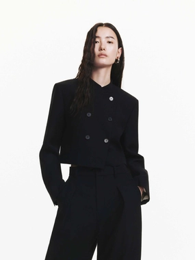 Double Breasted Crop Jacket Double Breasted Crop Jacket