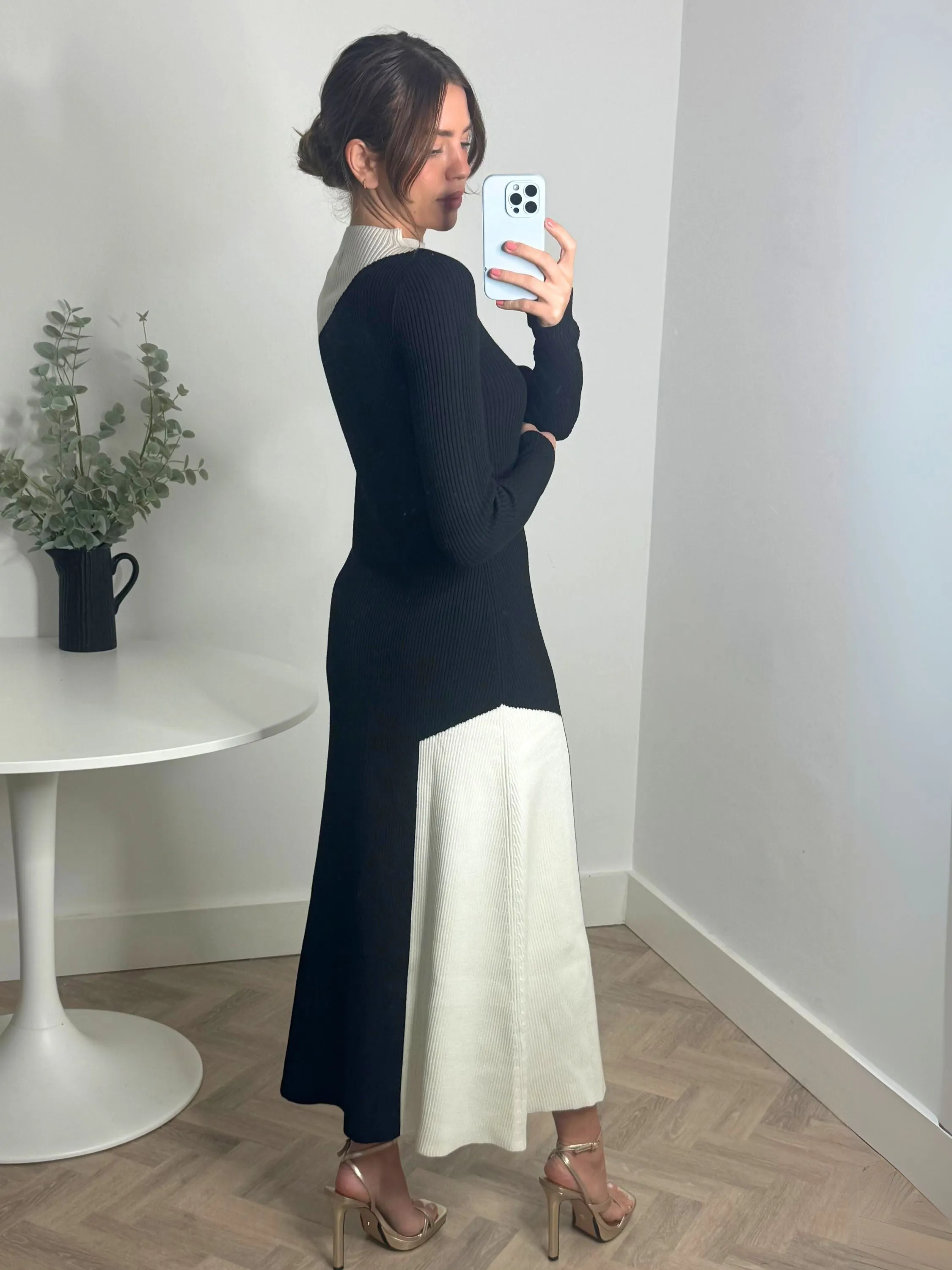 Edita Knitted Colourblock Dress in Mono Fall Style Form Fit