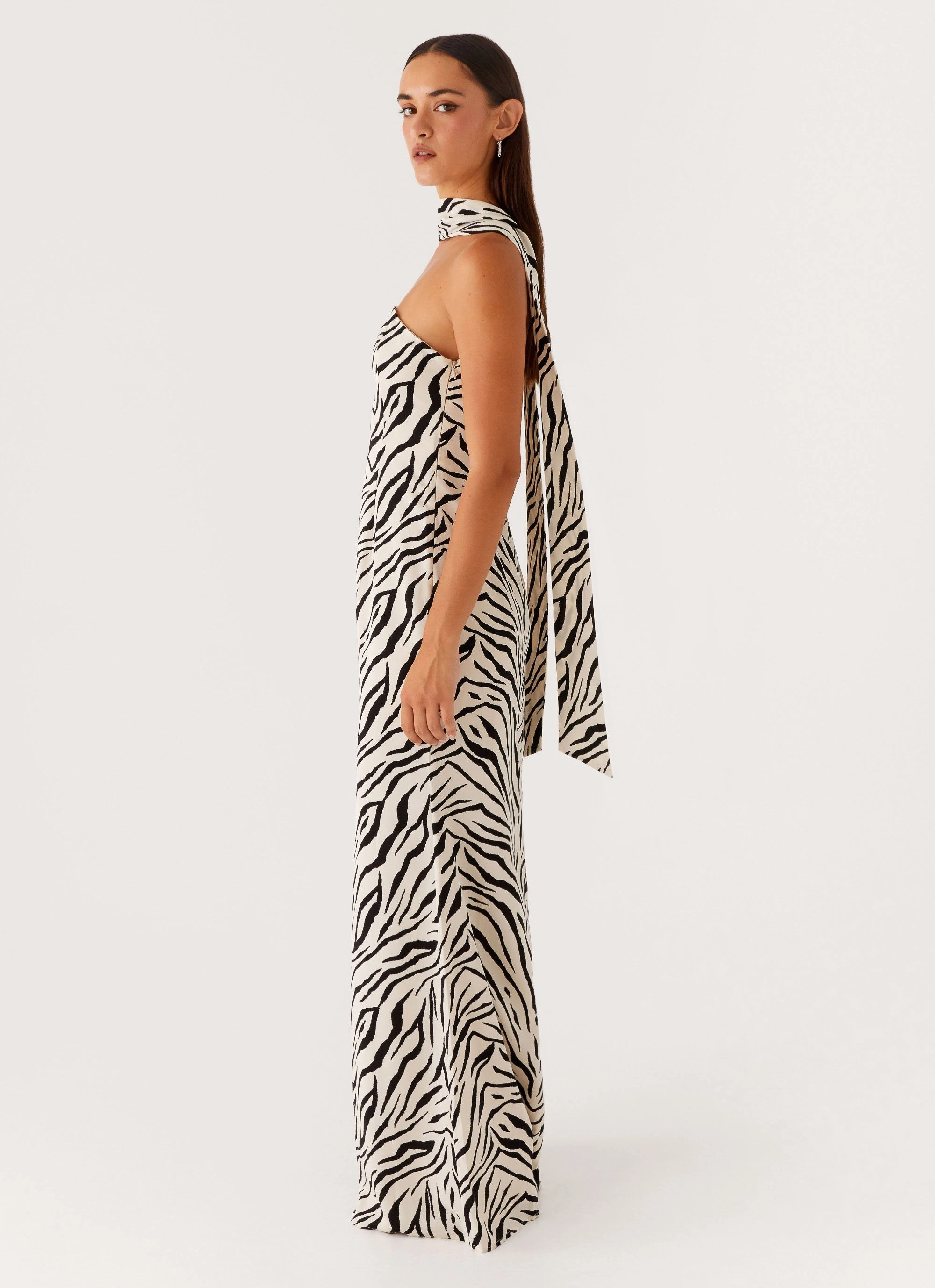 Jigsaw Strapless Maxi Dress - Zebra Chain-Detail