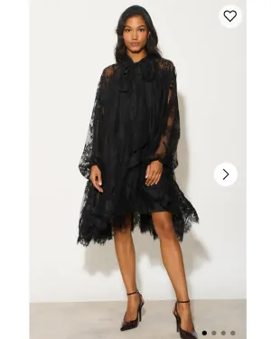 Floral Lace long blouseon sleeves design dress in Black