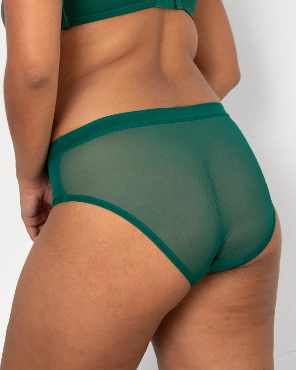 Mesh High Cut Brief Panty - 1313S