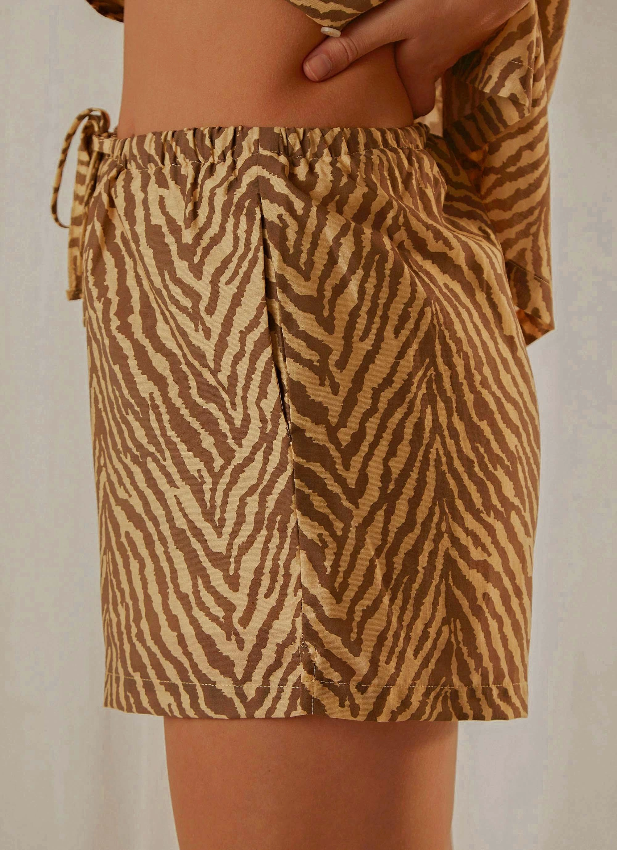 Payne Short - Zebra Anti Pilling Texture