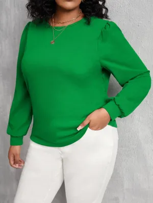 Plain Long Sleeve Round Neck Regular Plus Size T-Shirt