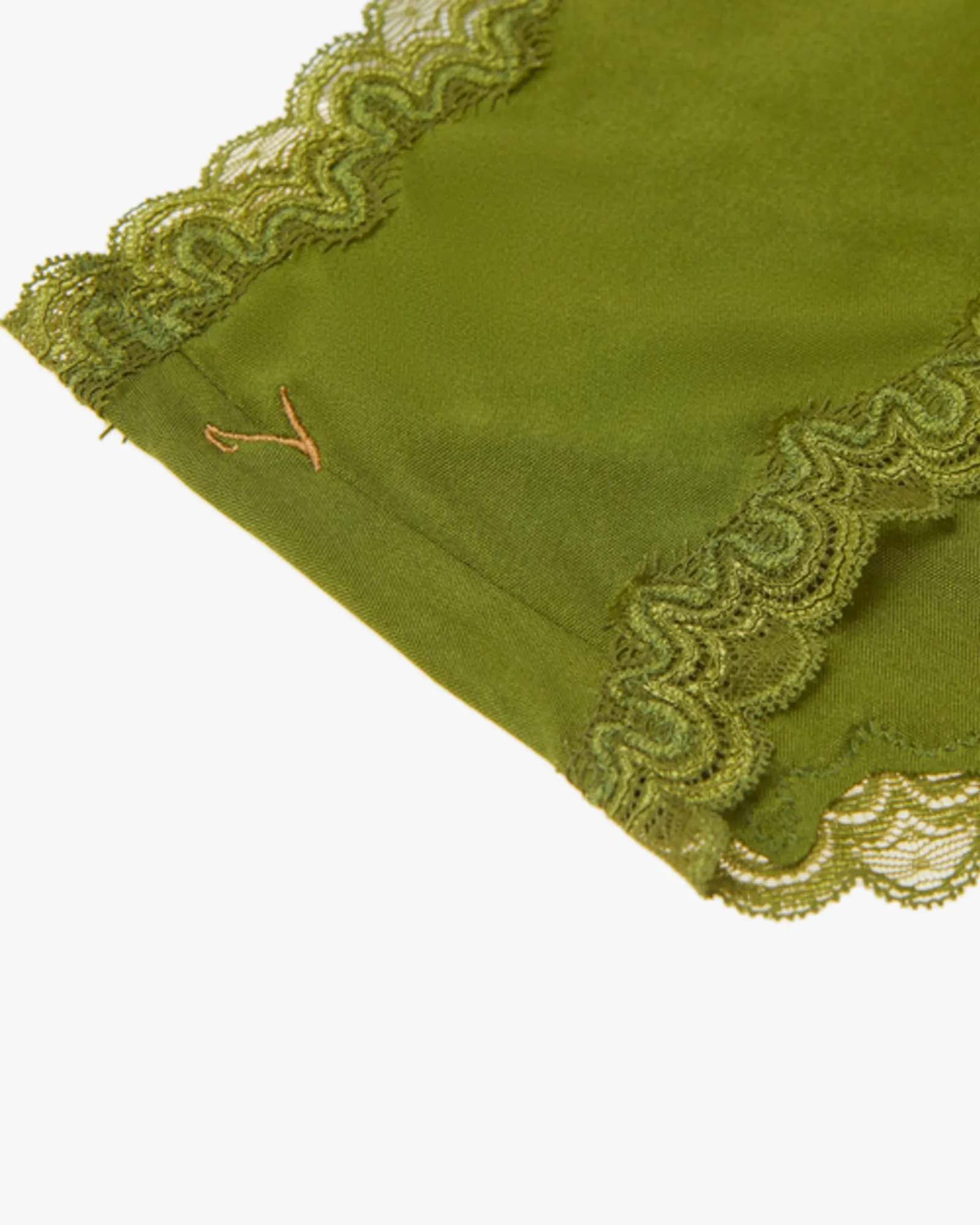 Soft Silk Panties with Contrast Lace | Terrarium Moss with Pepper Stem