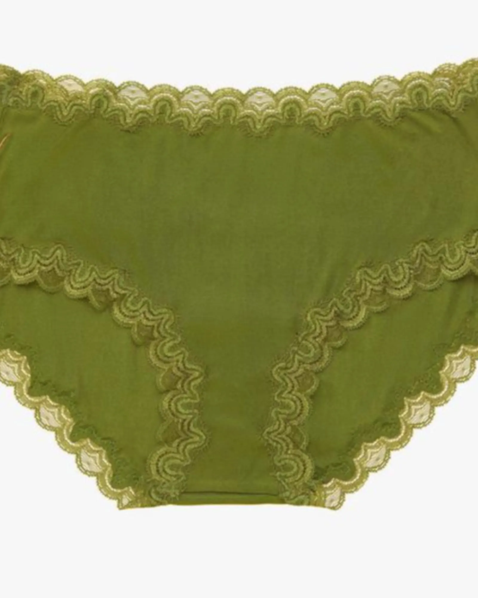 Soft Silk Panties with Contrast Lace | Terrarium Moss with Pepper Stem