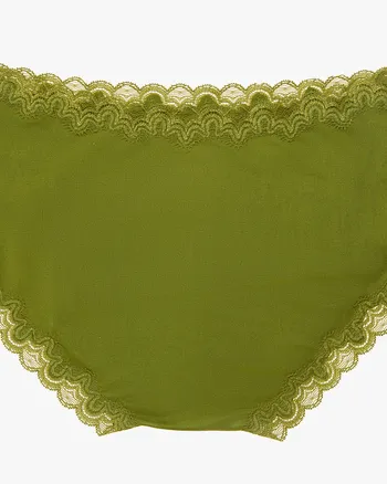 Soft Silk Panties with Contrast Lace | Terrarium Moss with Pepper Stem
