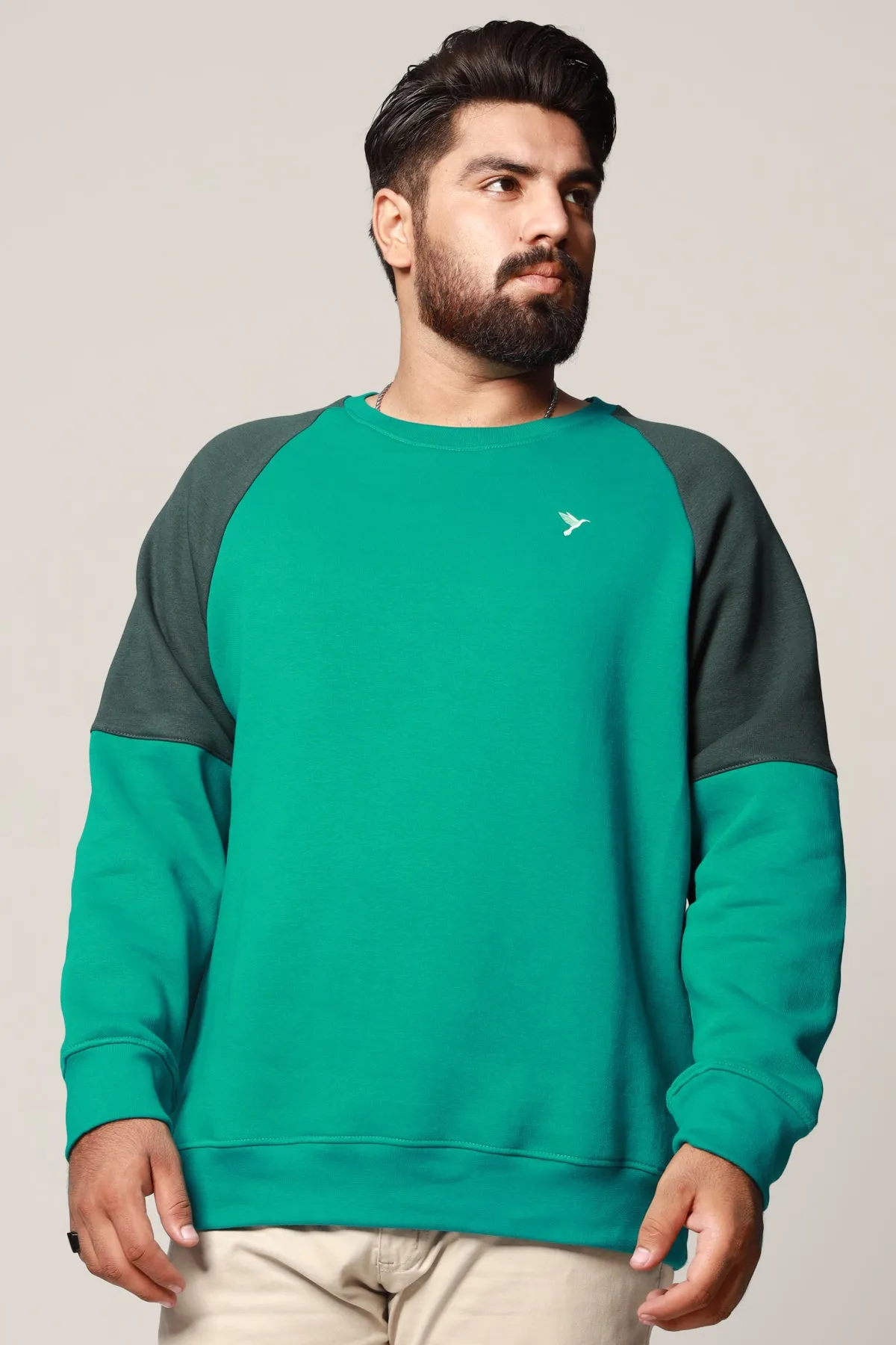 Teal & Green Raglan Sweatshirt (Plus Size) - W22 - USW011P