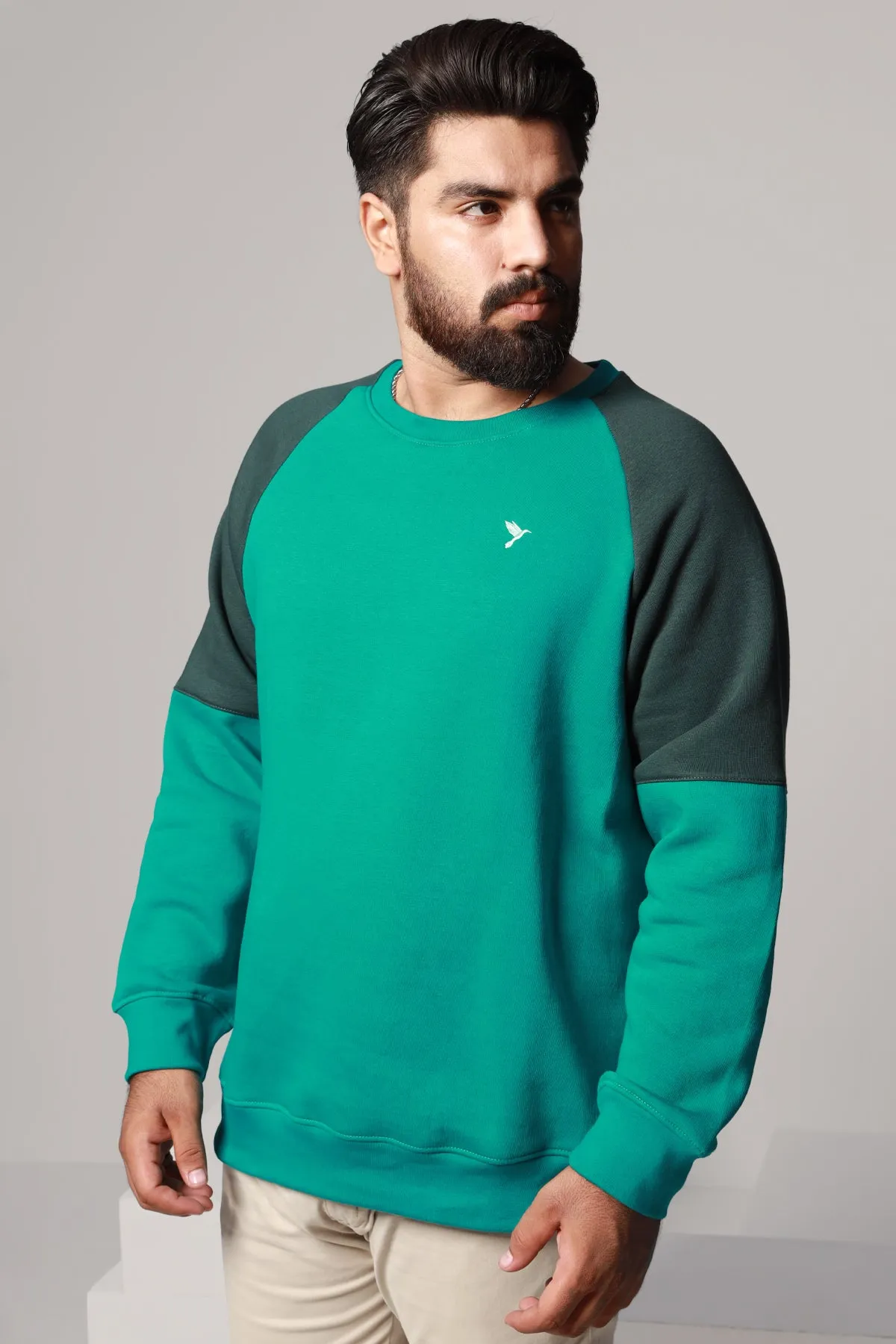 Teal & Green Raglan Sweatshirt (Plus Size) - W22 - USW011P