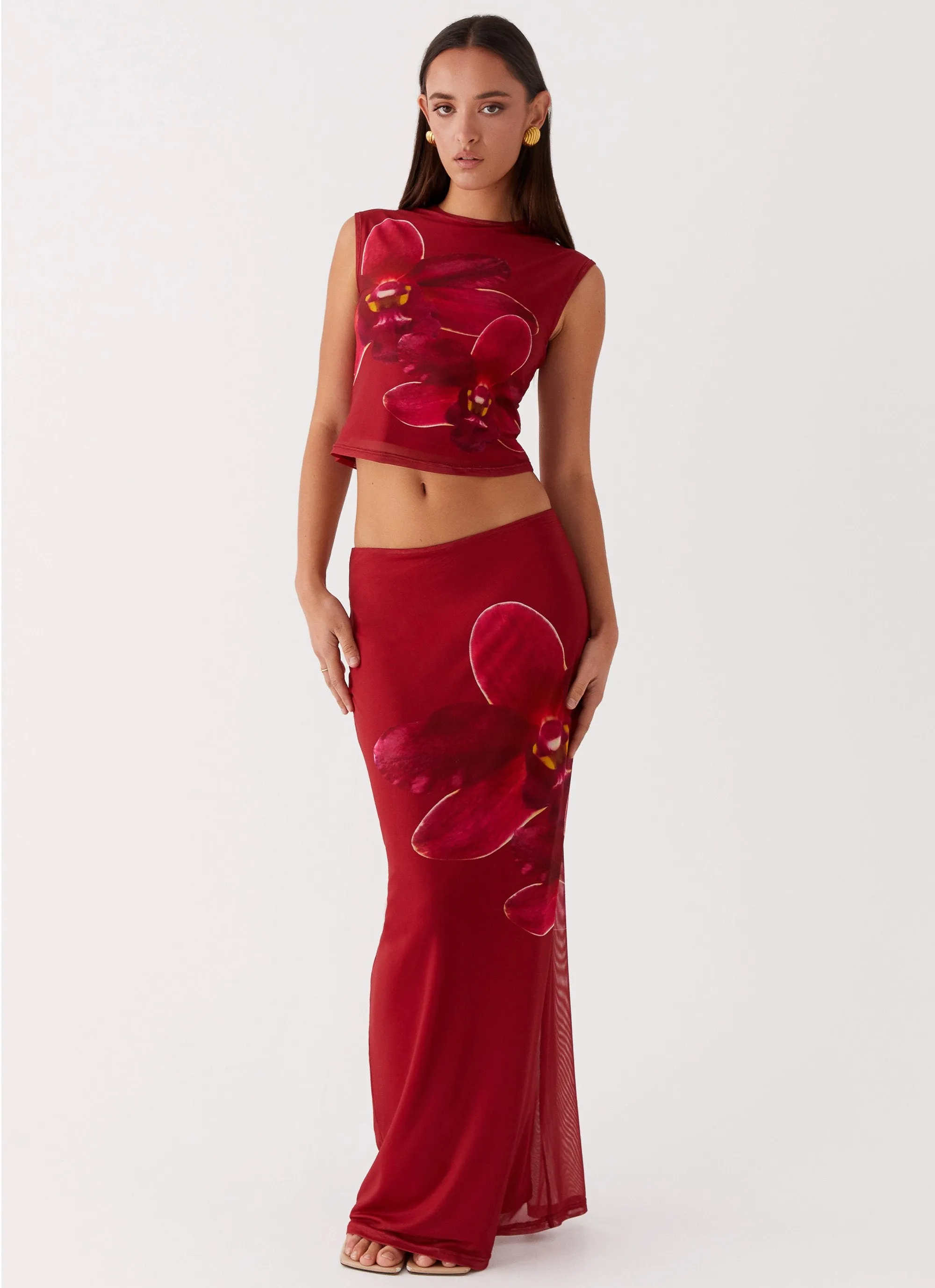 Waiting For Dawn Mesh Maxi Skirt - Rosa Non Restrictive Fit Minimal Vibes
