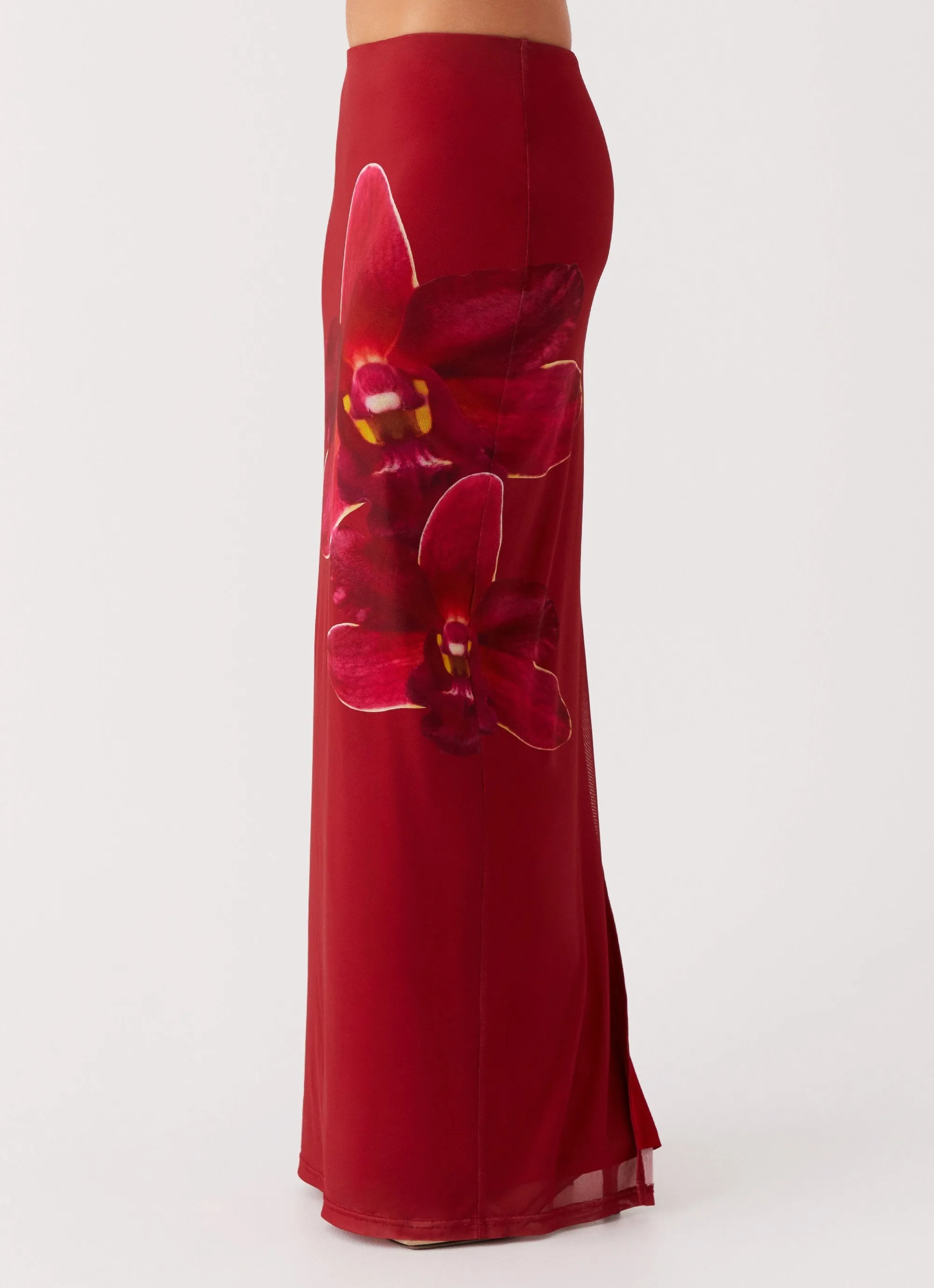 Cozy Tones Neutral palette Waiting For Dawn Mesh Maxi Skirt - Rosa