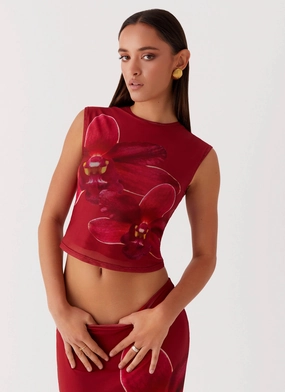 Shawl Lapel Waiting for Dawn Mesh Top - Rosa