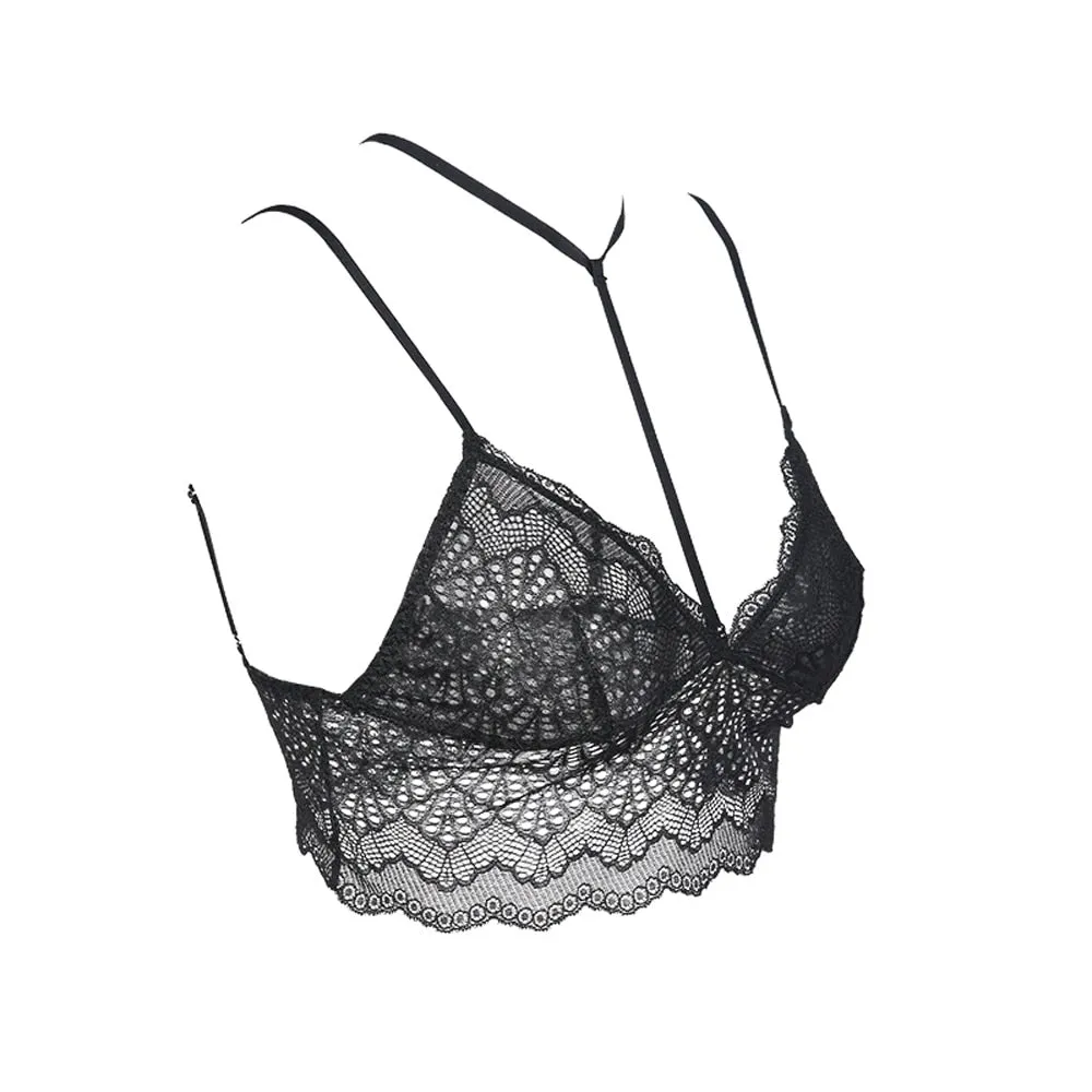 Women's Black Lace Push Up