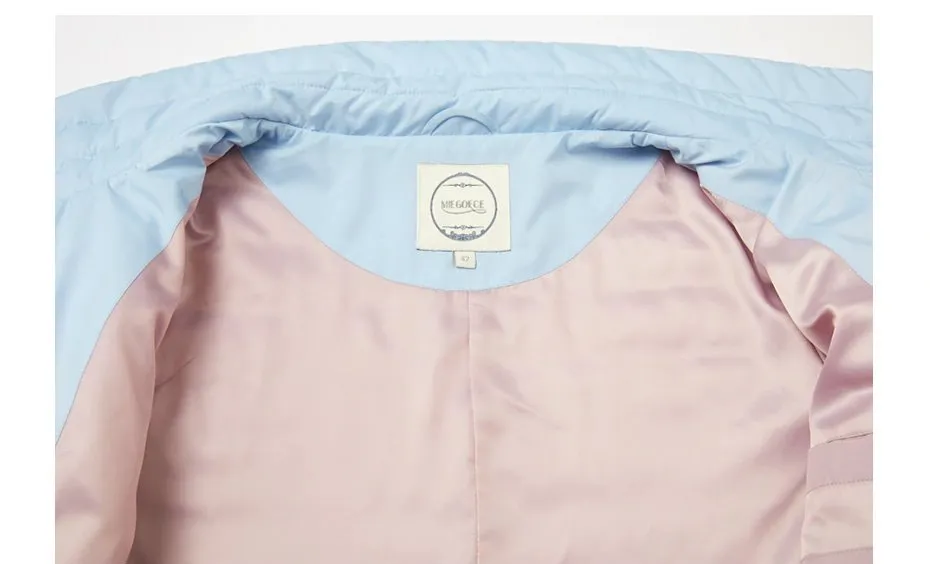 Women's Spring/Autumn Jacket With Standing Collar