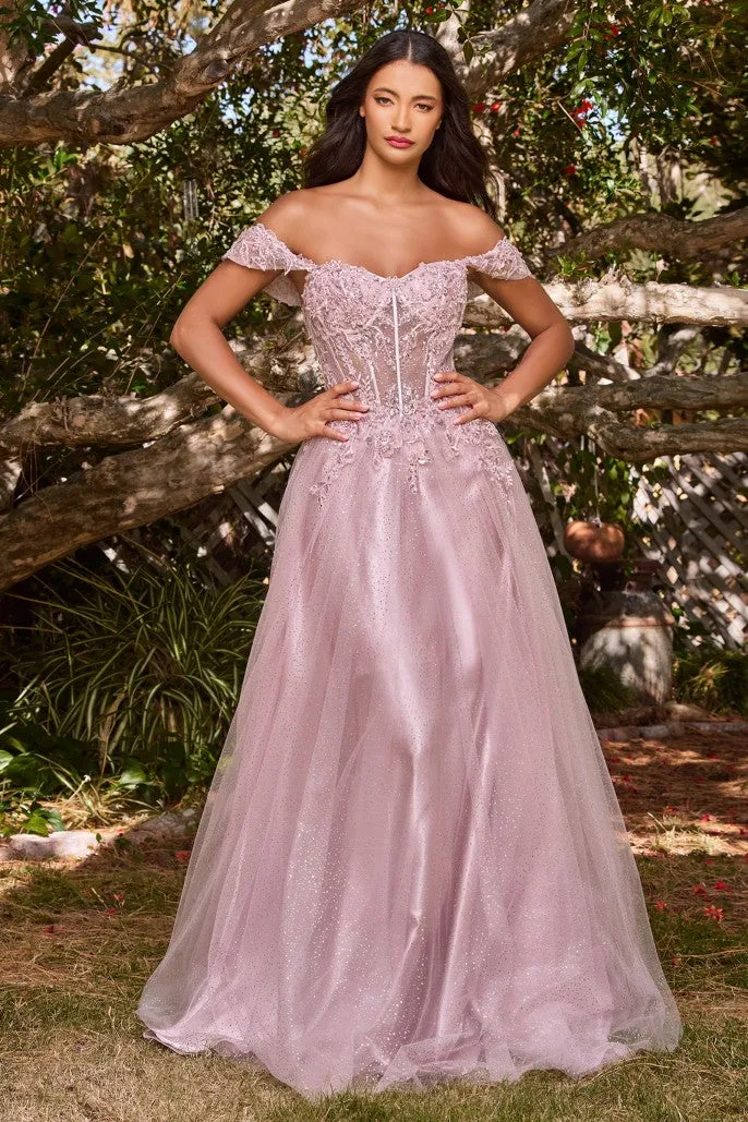 Wondrous | Lace A Line Gown with off the Shoulder Sleeves | LaDivine CD0198