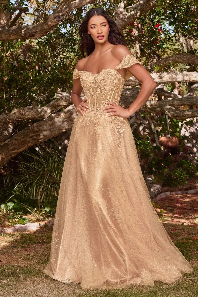 Wondrous | Lace A Line Gown with off the Shoulder Sleeves | LaDivine CD0198
