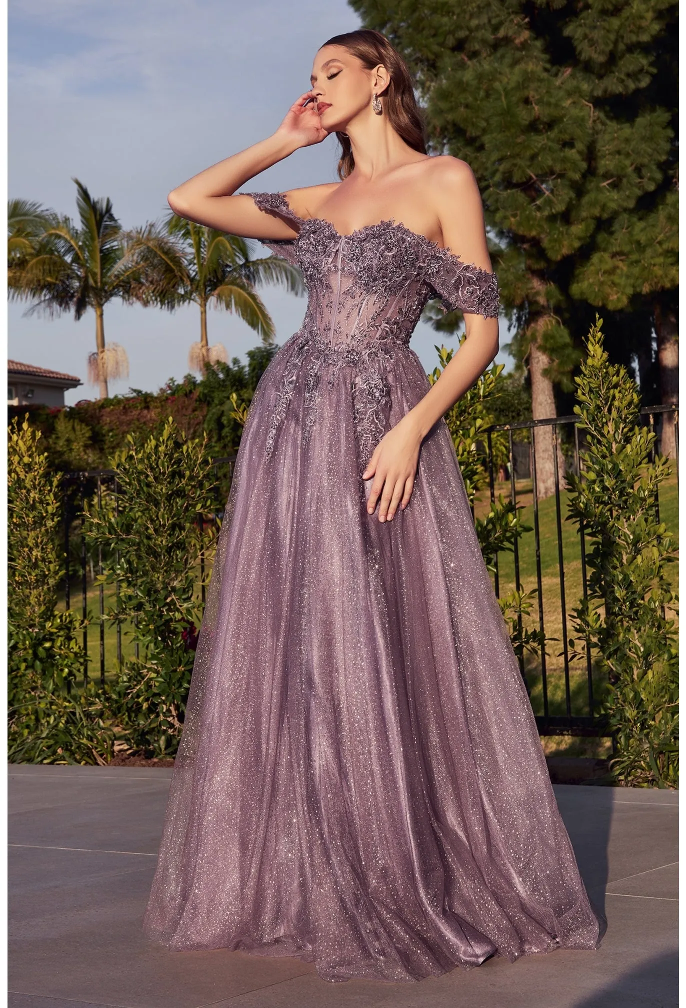 Wondrous | Lace A Line Gown with off the Shoulder Sleeves | LaDivine CD0198