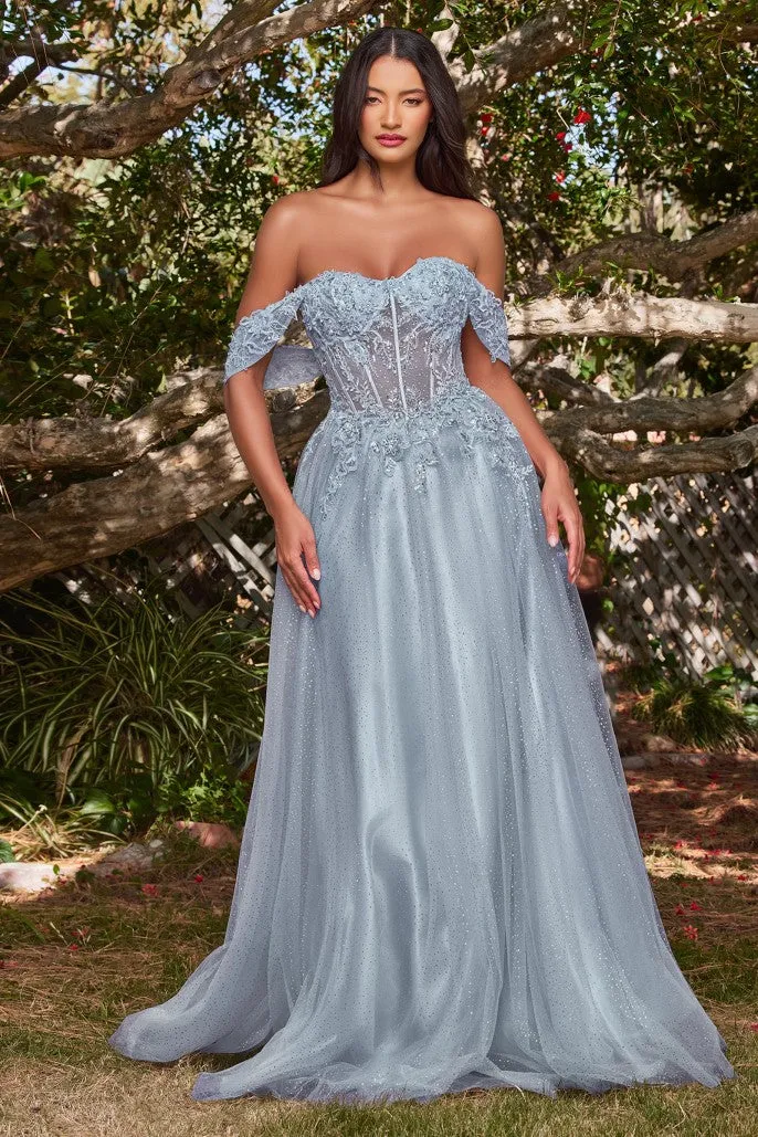 Wondrous | Lace A Line Gown with off the Shoulder Sleeves | LaDivine CD0198